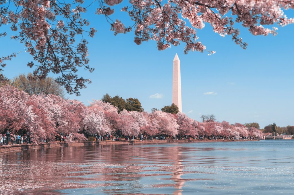 Photo of the Obelisk in Washington DC