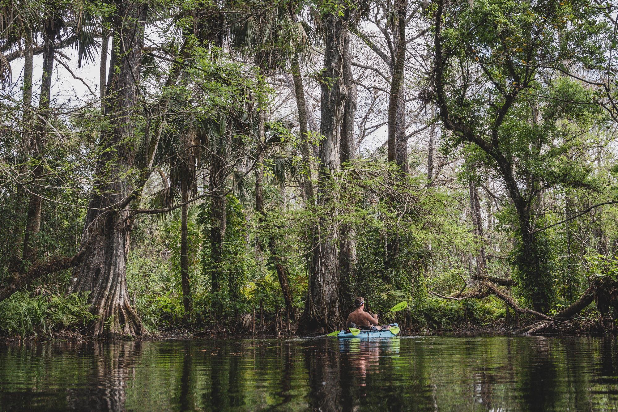 Orlando wetlands