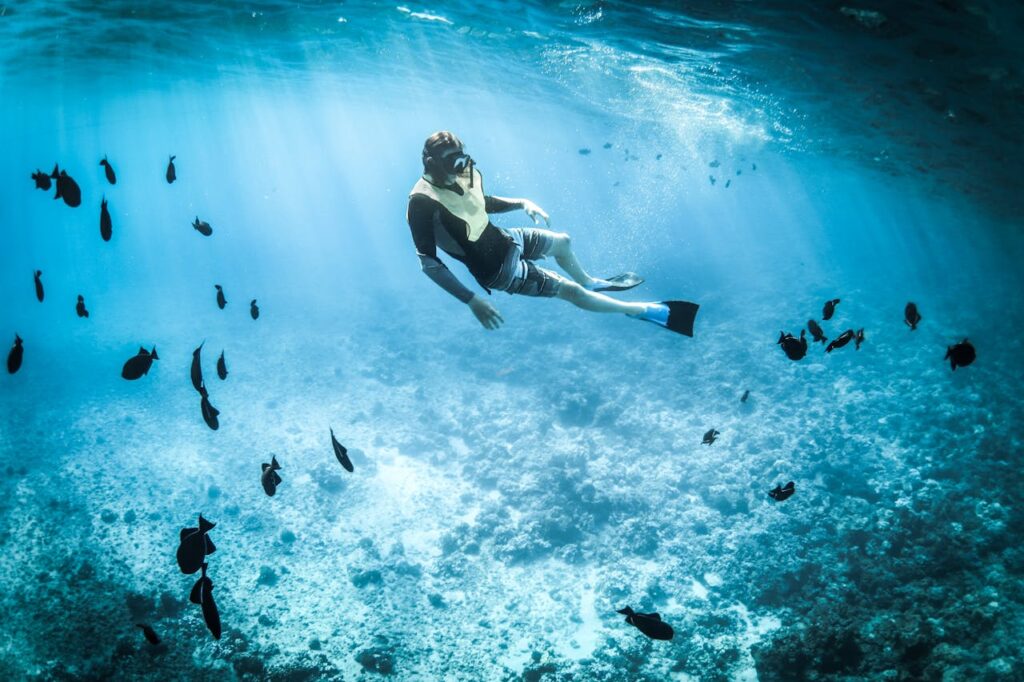 Man snorkeling among fishes 