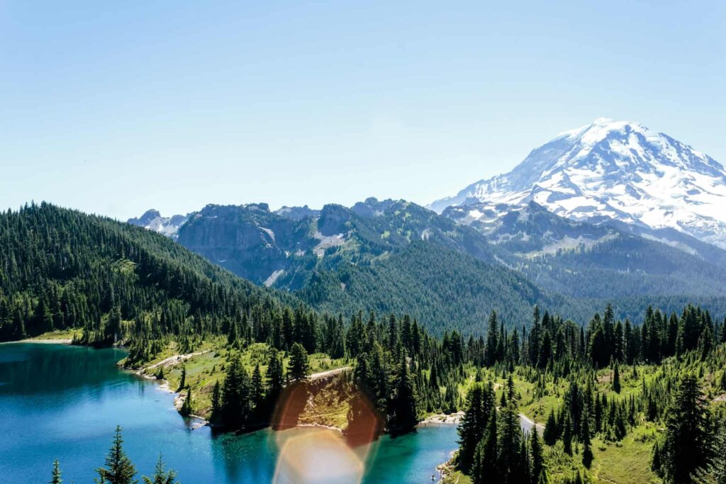 A lake in the middle of a green field full of trees and in the background a white mountain