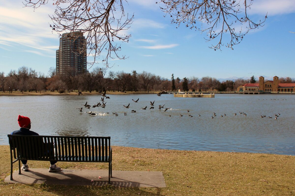 Person sitting on a bench while observing a lake