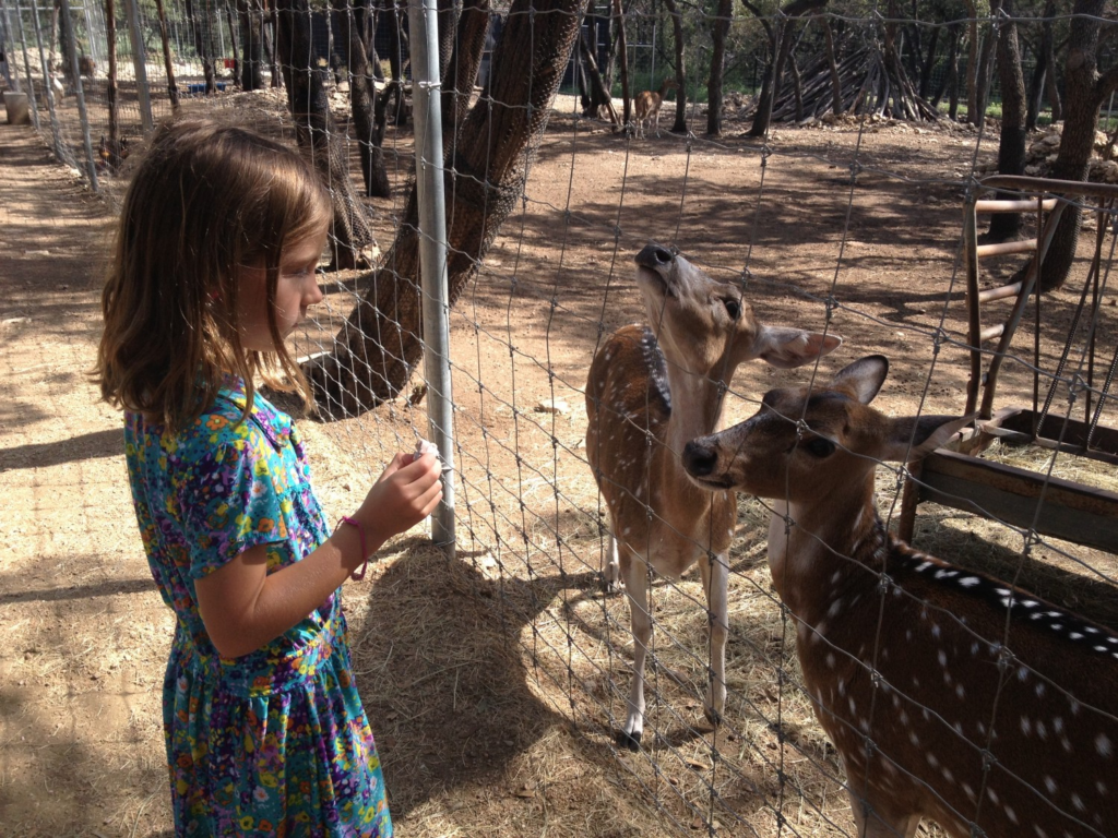 Little girl feeding two deers