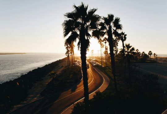 A view from above of Mission Beach's palm boulevard. San Diego. A place to consider when moving to California.