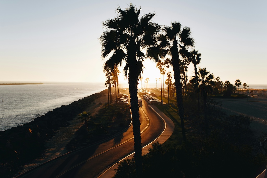 A view from above of Mission Beach's palm boulevard. San Diego. A place to consider when moving to California.