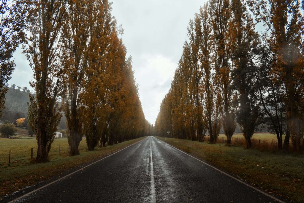 road in autumm