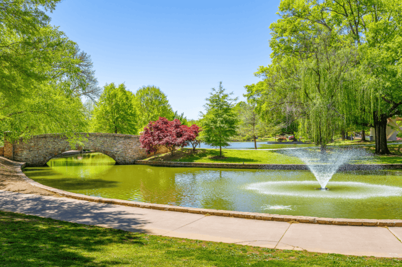 A lake at Freedom Park