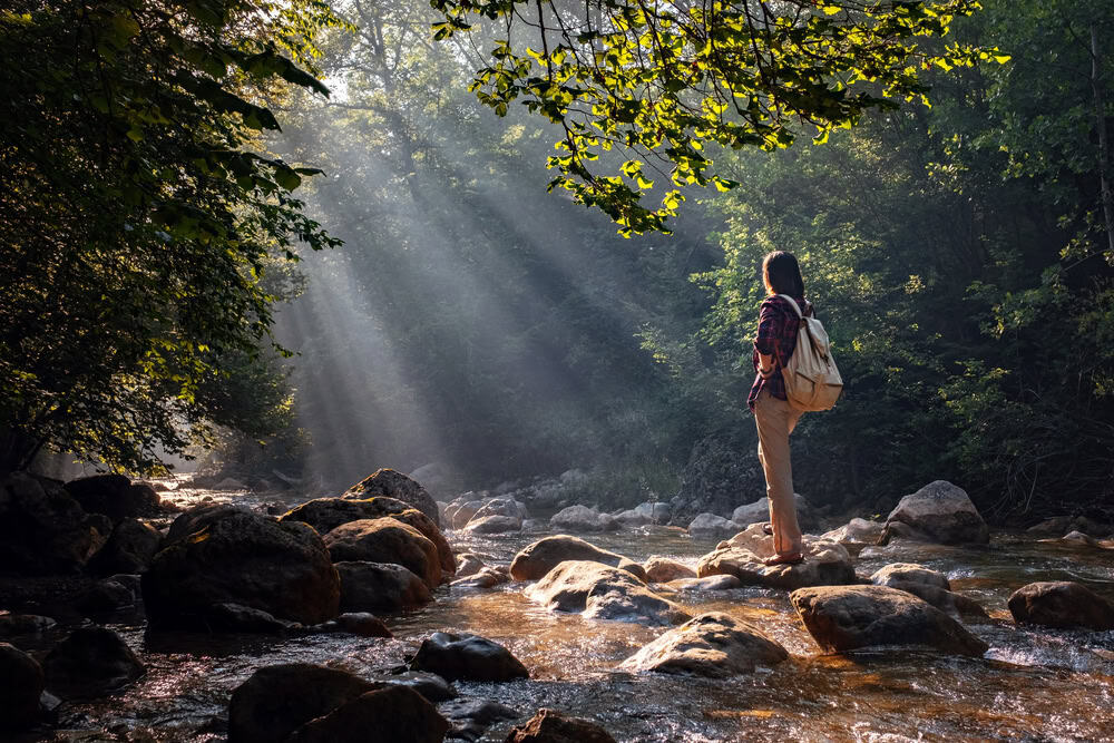 Female hiker standing on a forest creek