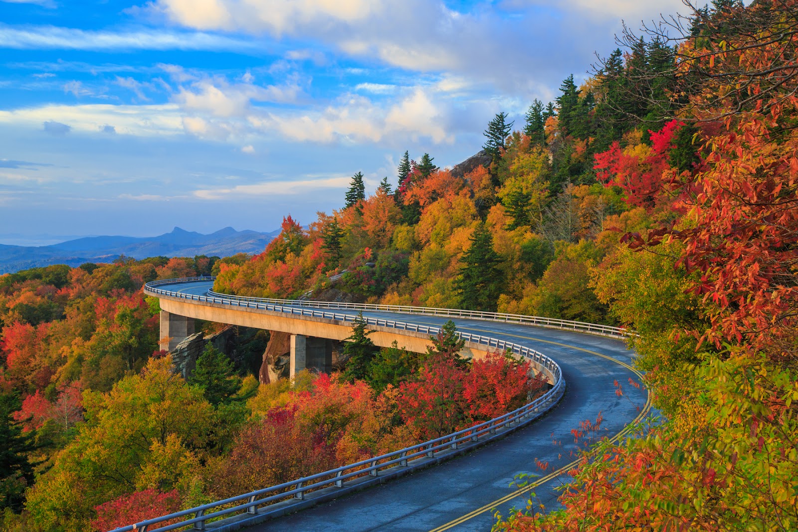 Blue Ridge Parkway Foliage in Asheville, NC